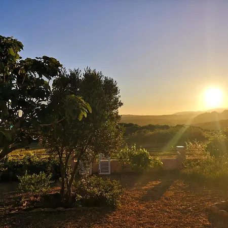 Holiday home La Casetta Del Mirto Paduledda