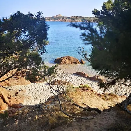 La Casetta Del Mirto Paduledda Holiday home Isola Rossa (Sassari)