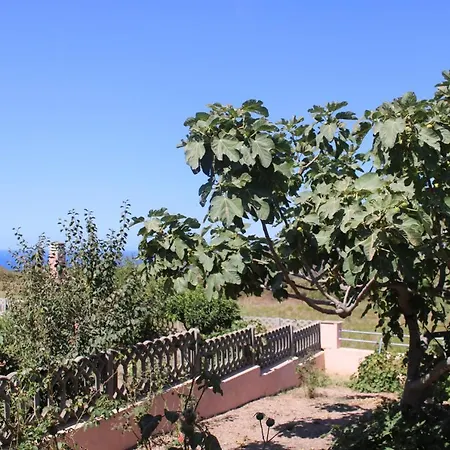 度假居 La Casetta Del Mirto Paduledda *